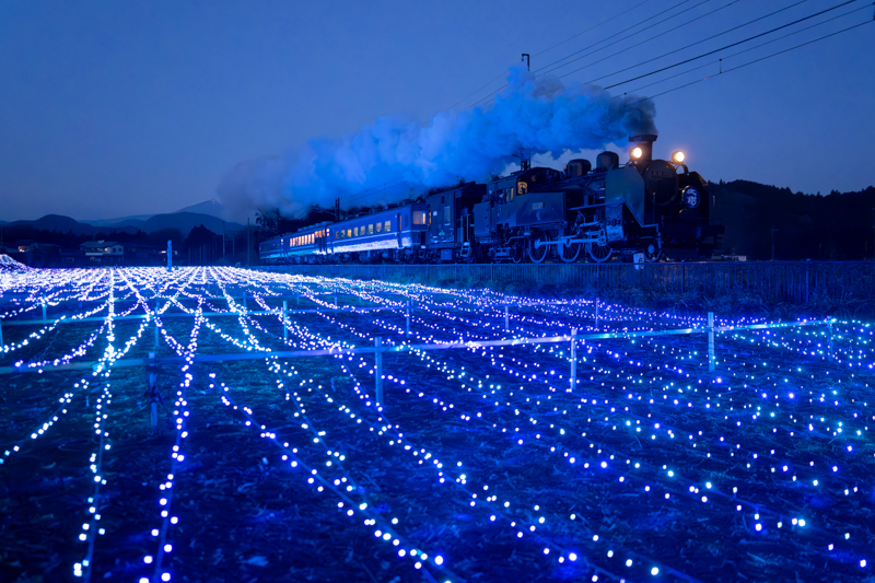 ソニーα1／FE 24mm F1.4 GM／マニュアル露出（24mm・F1.6・1/500秒）／ISO 12800／WB:太陽光