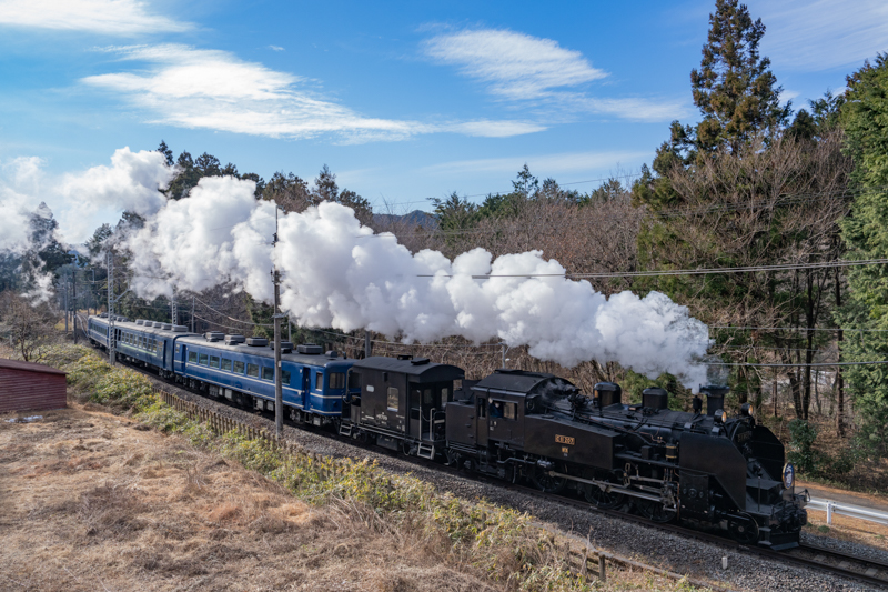 ソニーα7R V／FE 24-70mm F2.8 GM II／絞り優先オート（25mm・F8・1/640秒）／ISO 640／WB:太陽光
