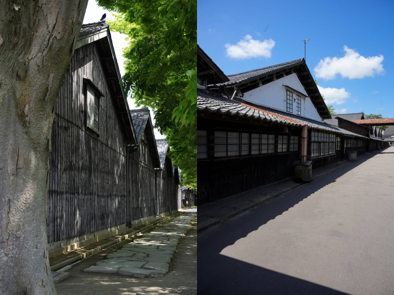 1893年に建てられた米どころ庄内のシンボル山居倉庫（米保管倉庫）。2022年9月に米倉庫としての役割を終え、敷地内には酒田市観光物産館や庄内米歴史資料館が併設され観光客で賑わう