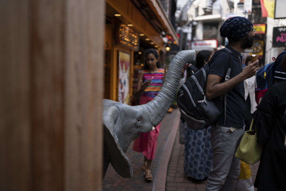 撮影：熊切大輔<br><span class="fnt-85">α7R V／FE 35mm F1.4 GM／絞り優先AE（1/2,000秒・F1.4・-1.0EV）／ISO 100</span>