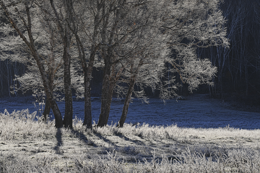 撮影：萩原れいこ<br><span class="fnt-85">α7R V／FE 70-200mm F2.8 GM OSS II／182mm／絞り優先AE（1/500秒・F11・-3.0EV）／ISO 100</span>