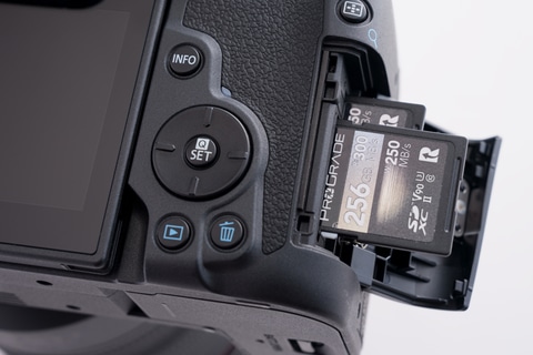 新製品レビュー：キヤノン EOS R7 - デジカメ Watch