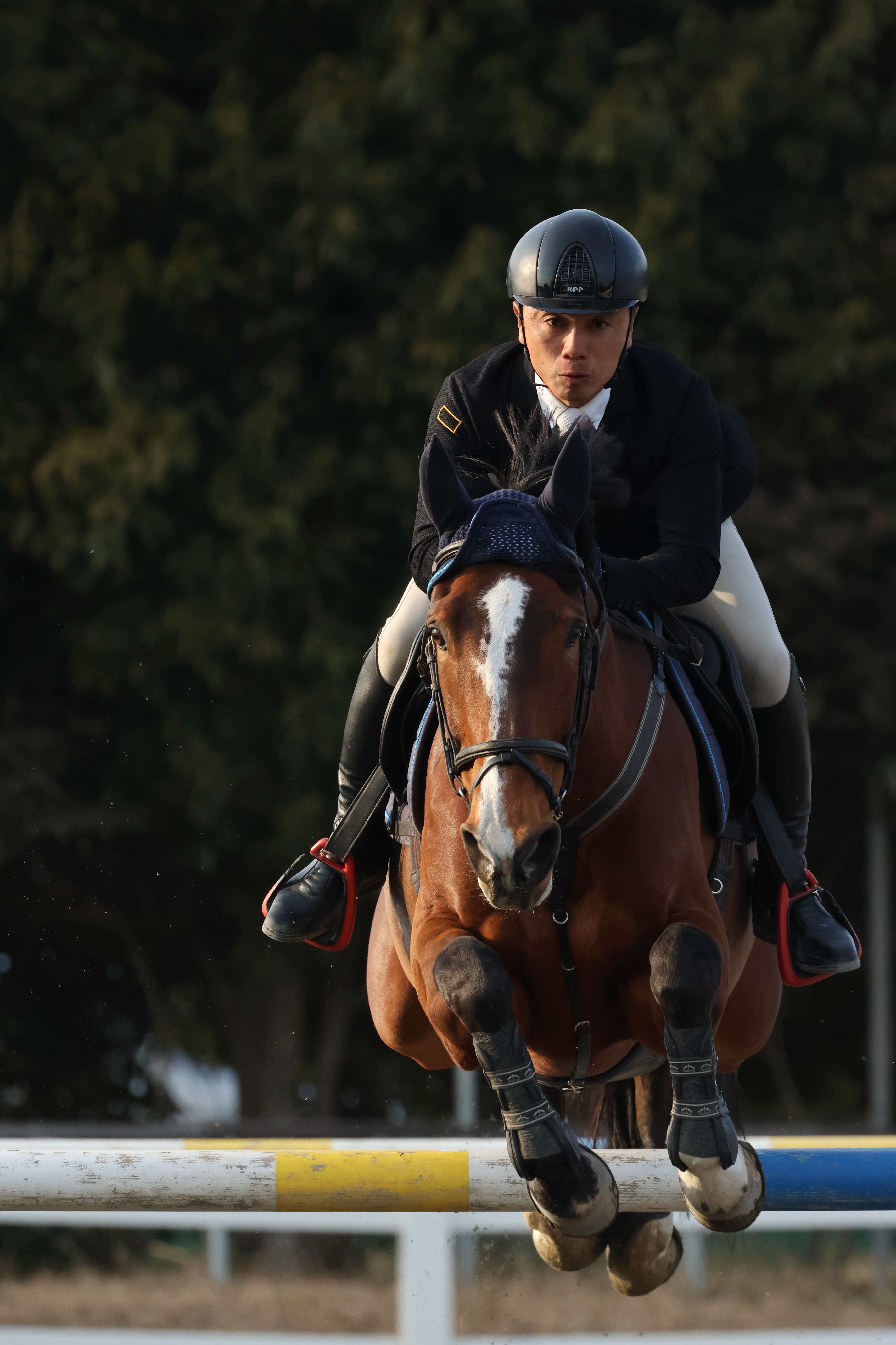 EOS R7／RF100-500mm F4.5-7.1 L IS USM／500mm（800mm相当）／マニュアル（1/1,600秒・F7.1・±0）ISO 1250