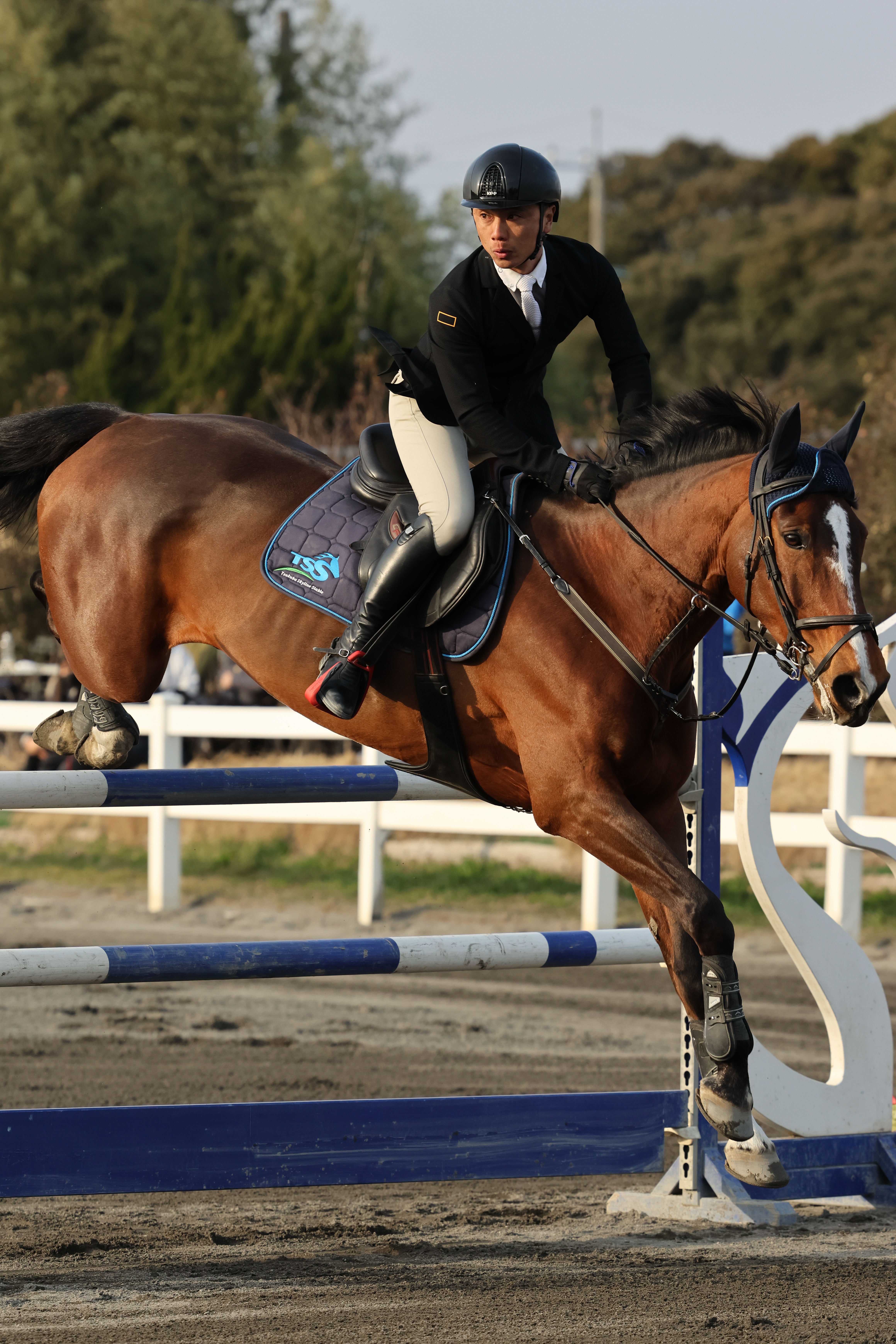 EOS R7／RF70-200mm F2.8 L IS USM／158mm（253mm相当）／マニュアル（1/2,000秒・F4.0・±0）ISO 400