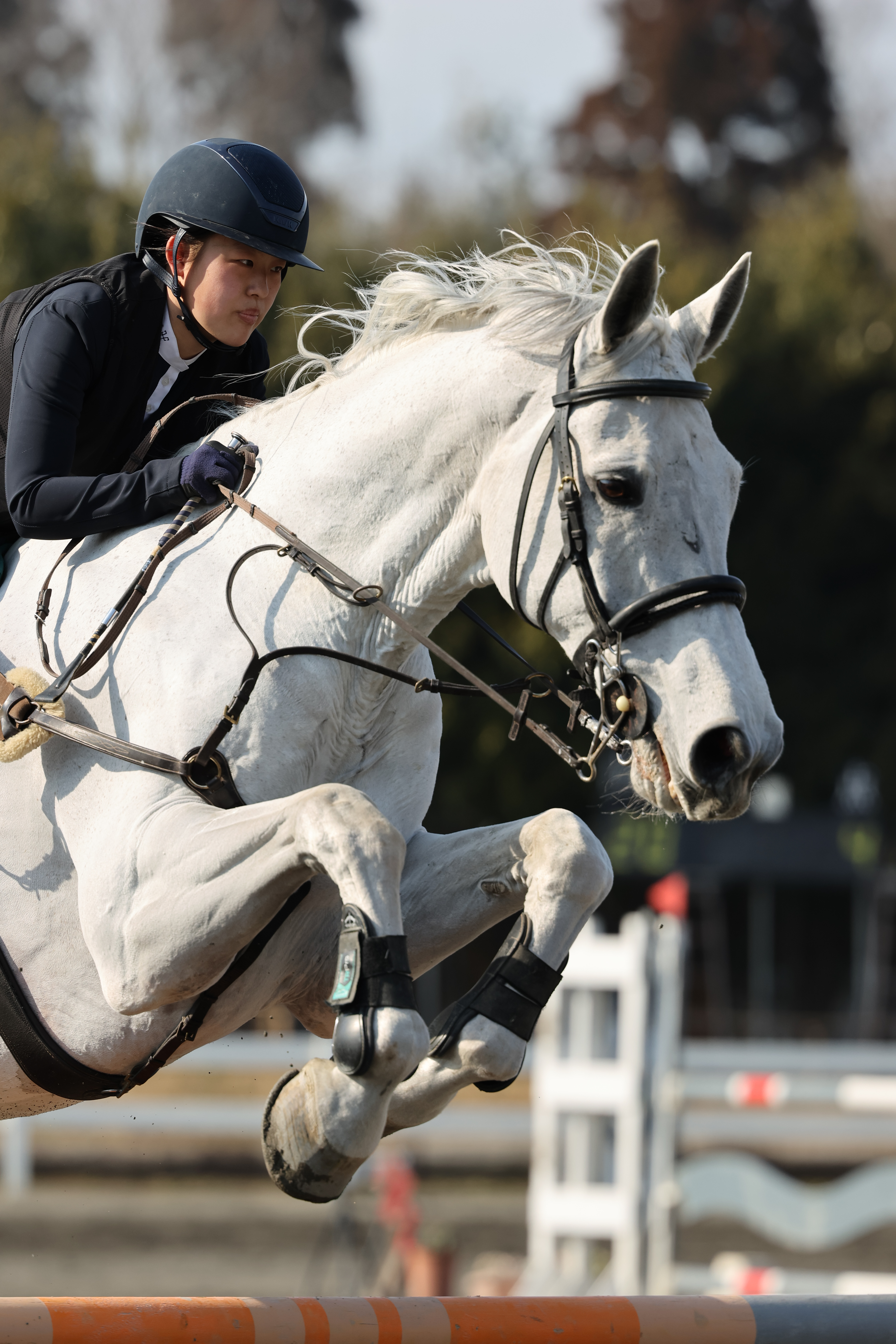 EOS R7／RF70-200mm F2.8 L IS USM／200mm（320mm相当）／マニュアル（1/2,000秒・F3.5・±0）ISO 200