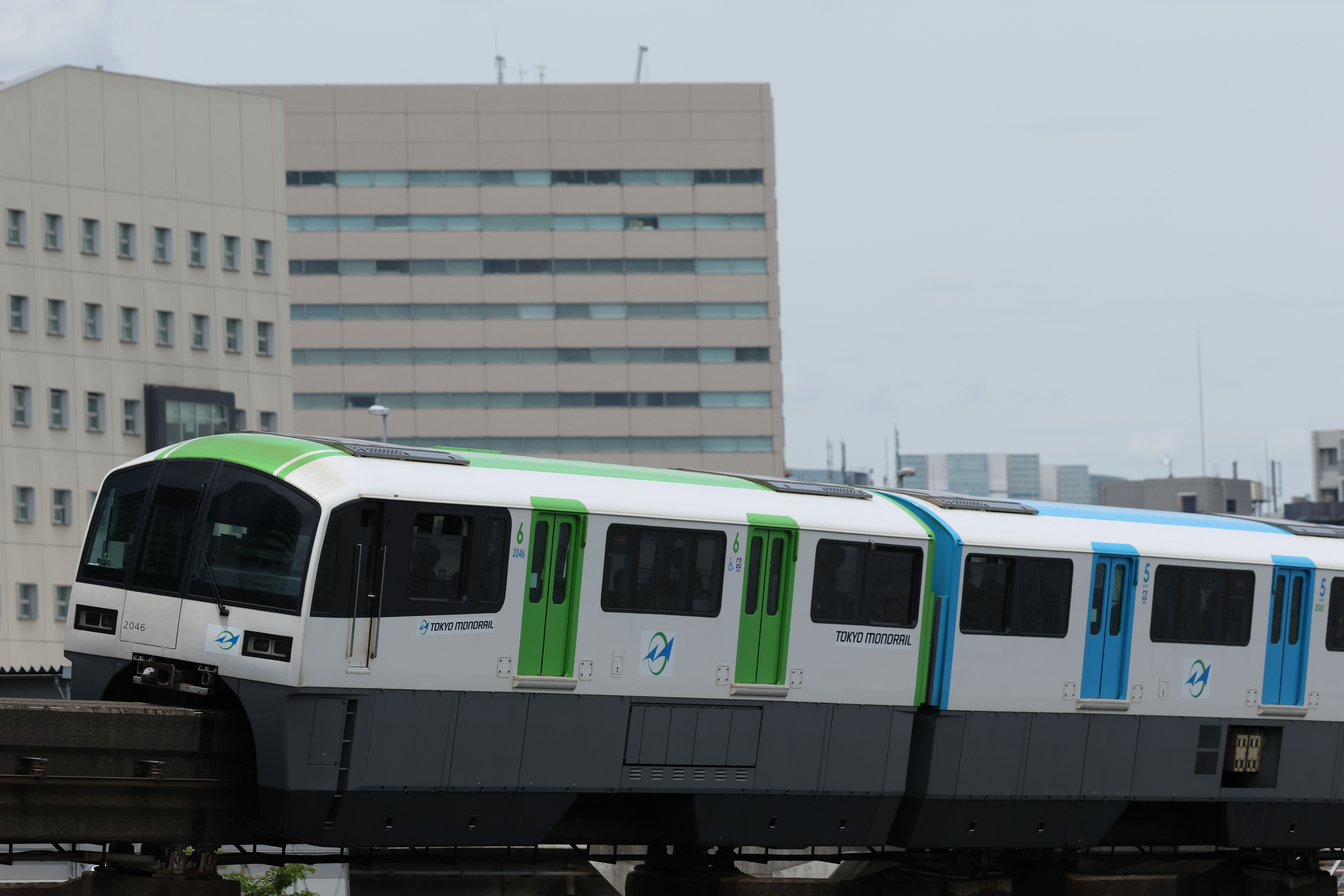 <b>電子シャッター</b><br><span class="fnt-85">EOS R7／RF70-200mm F2.8 L IS USM／142mm（227mm相当）／シャッター速度優先AE（1/8,000秒・F3.5・±0）ISO 400</span>