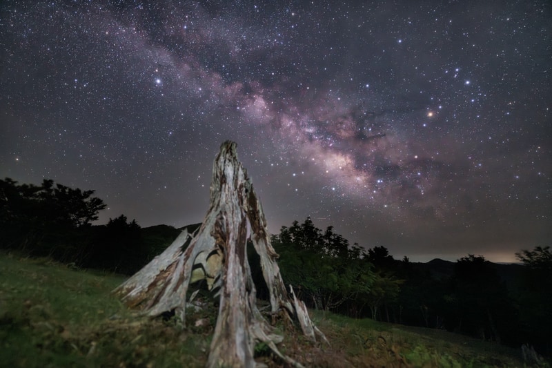 <span class="fnt-85">α7R Ⅴ／14mm／マニュアル露出（F1.4、10秒）／ISO 3200／WB：オート</span>
