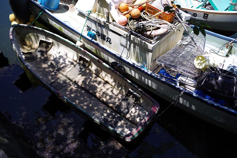 K-1 Mark II／HD PENTAX-FA31mmF1.8 Limited　©Yuriko Ohmura