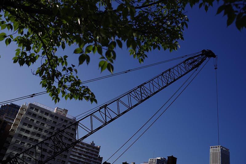 K-1 Mark II／HD PENTAX-FA31mmF1.8 Limited　©Yuriko Ohmura