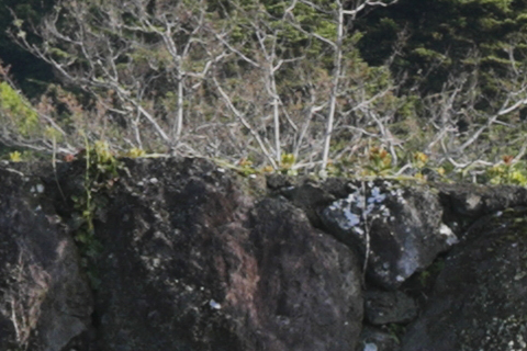 <center><b><span class="fnt-120">ON｜OFF</span></b></center>