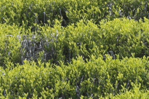 <center><b><span class="fnt-120">ON｜OFF</span></b></center>