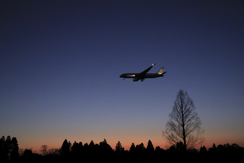 EOS R3／RF24-240mm F4-6.3 IS USM／35mm／マニュアル露出（F4.5、1/500秒）／ISO 32000／WB:オート／Neural network Image Processing Tool：ON