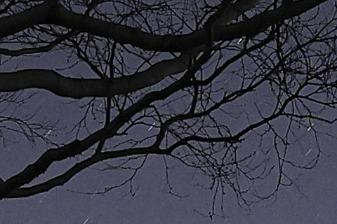 <center><b><span class="fnt-120">ON｜OFF</span></b></center>