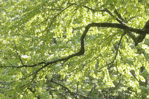 <center><b><span class="fnt-120">＋2｜OFF</b></span><br>（撮影：館野二朗）</center>