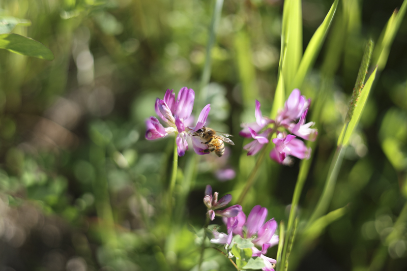 EOS R8／RF50mm F1.8 STM／絞り優先AE（1/1,000秒、F1.8、±0.0EV）／ISO 100