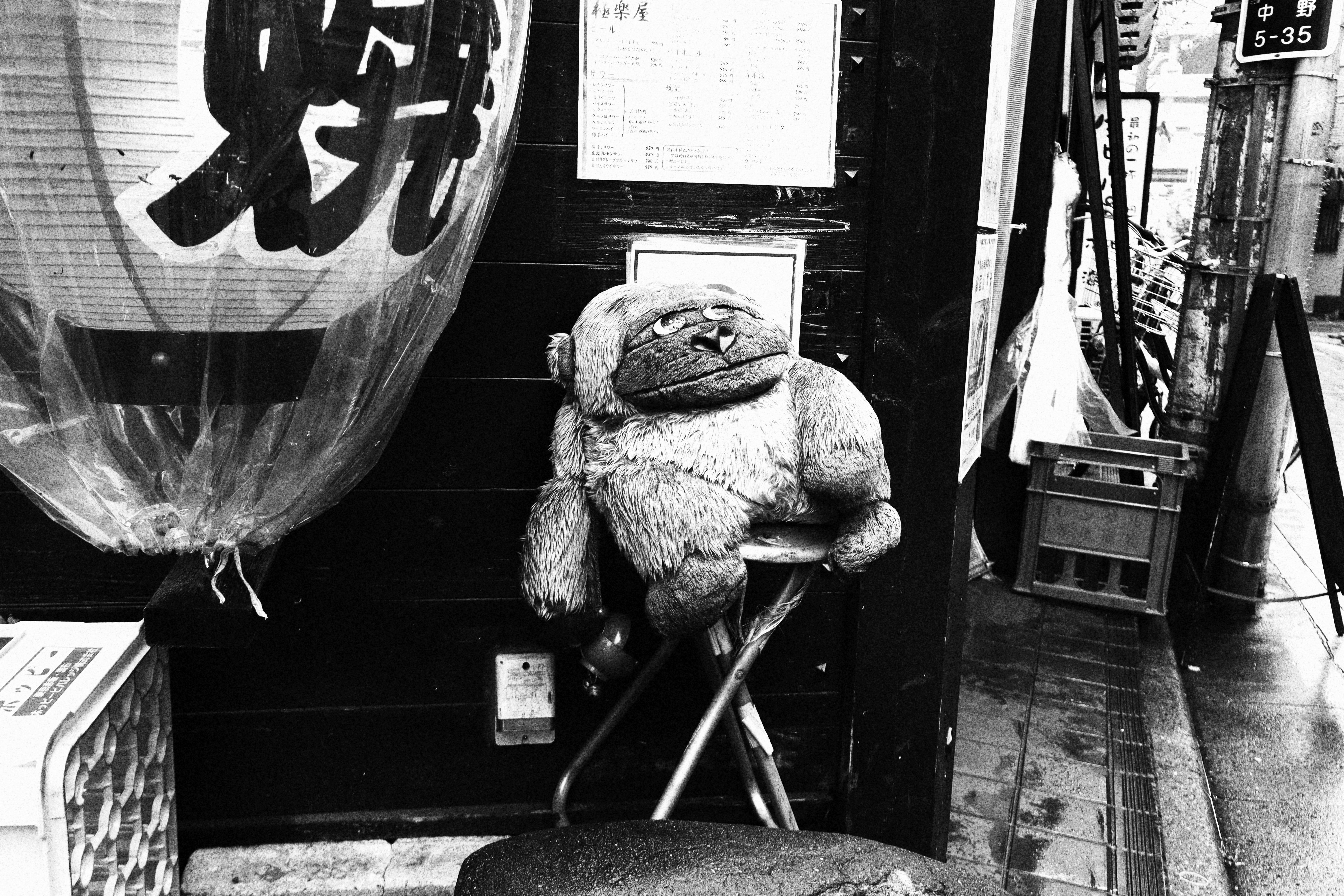 EOS R100／RF-S18-45mm F4.5-6.3 IS STM／20mm／オート（F4.5、1/60秒、±0EV）／ISO 400／WB：オート