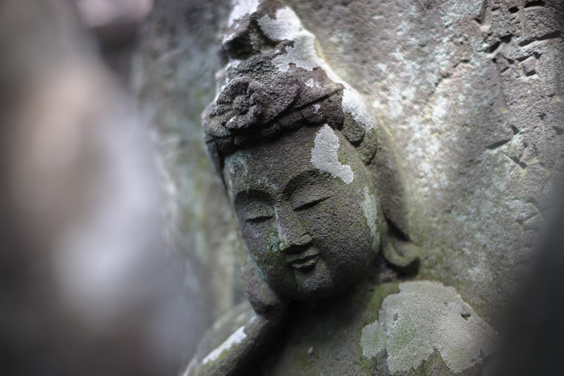 至近距離で絞り開放だと、確実にユルい雰囲気になります。お地蔵さんのような被写体はある程度、ディテールが出ていないと厳しいので効果を見極めながら絞りを設定します。こちらも前ボケはクセなく良い感じになりました。<br>EOS R5／EF50mm F1.4 USM／絞り優先AE（F2・1/500秒）／ISO 100