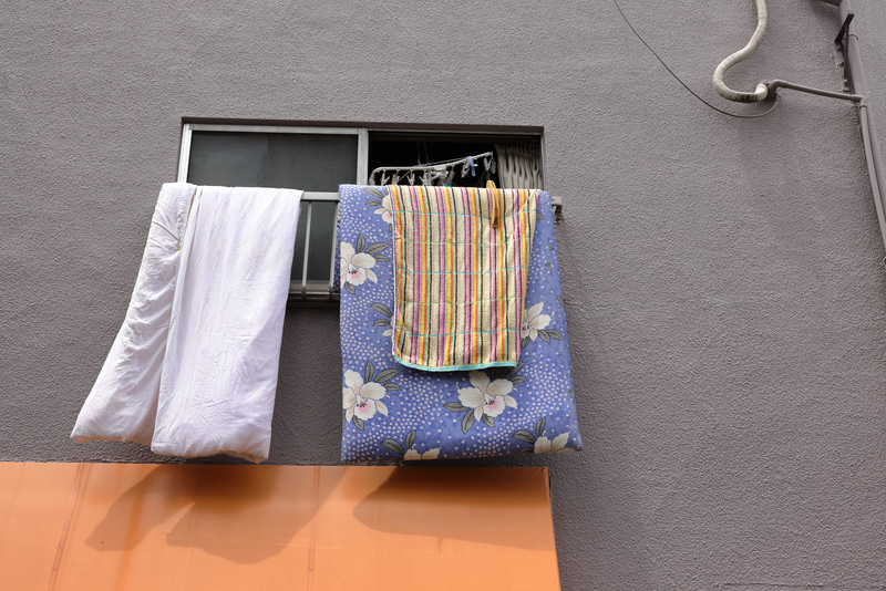 梅雨の晴れ間。絞りこむと全画面の均質性が面白いようにどんどん良くなるのです。<br>EOS R5／EF50mm F1.4 USM／絞り優先AE（F8・1/1,250秒）／ISO 400