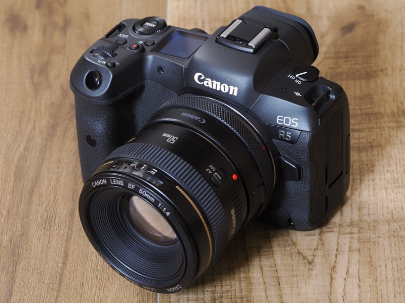 EOS R5とEF50mm F1.4 USMとの組み合わせ。佇まいという意味では悪くないですね。マウントアダプターの厚みはありますが許容します。