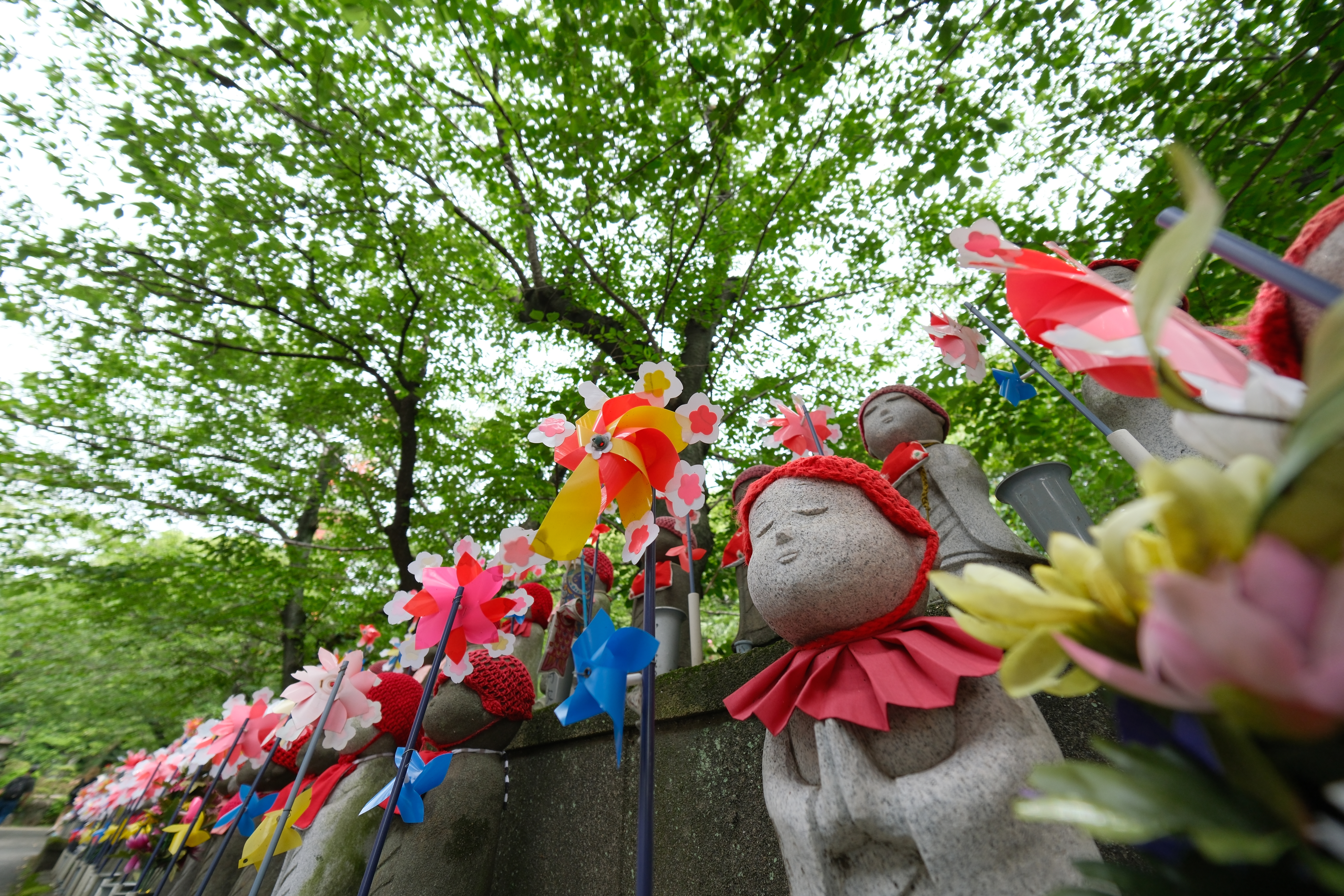 接写性を活かそうとした場合にやりがちな撮り方を試してみて点光源のボケ感と周辺部の描写をチェックしてみた。木漏れ日のカタチが煩く見えるシーンはありそうだ<br><span class="fnt-85">X-S20／XF8mmF3.5 R WR／8mm（12mm相当）／絞り優先AE（1/100秒・F3.5・+0.3EV）／ISO 320／Pro Neg. Std</span>