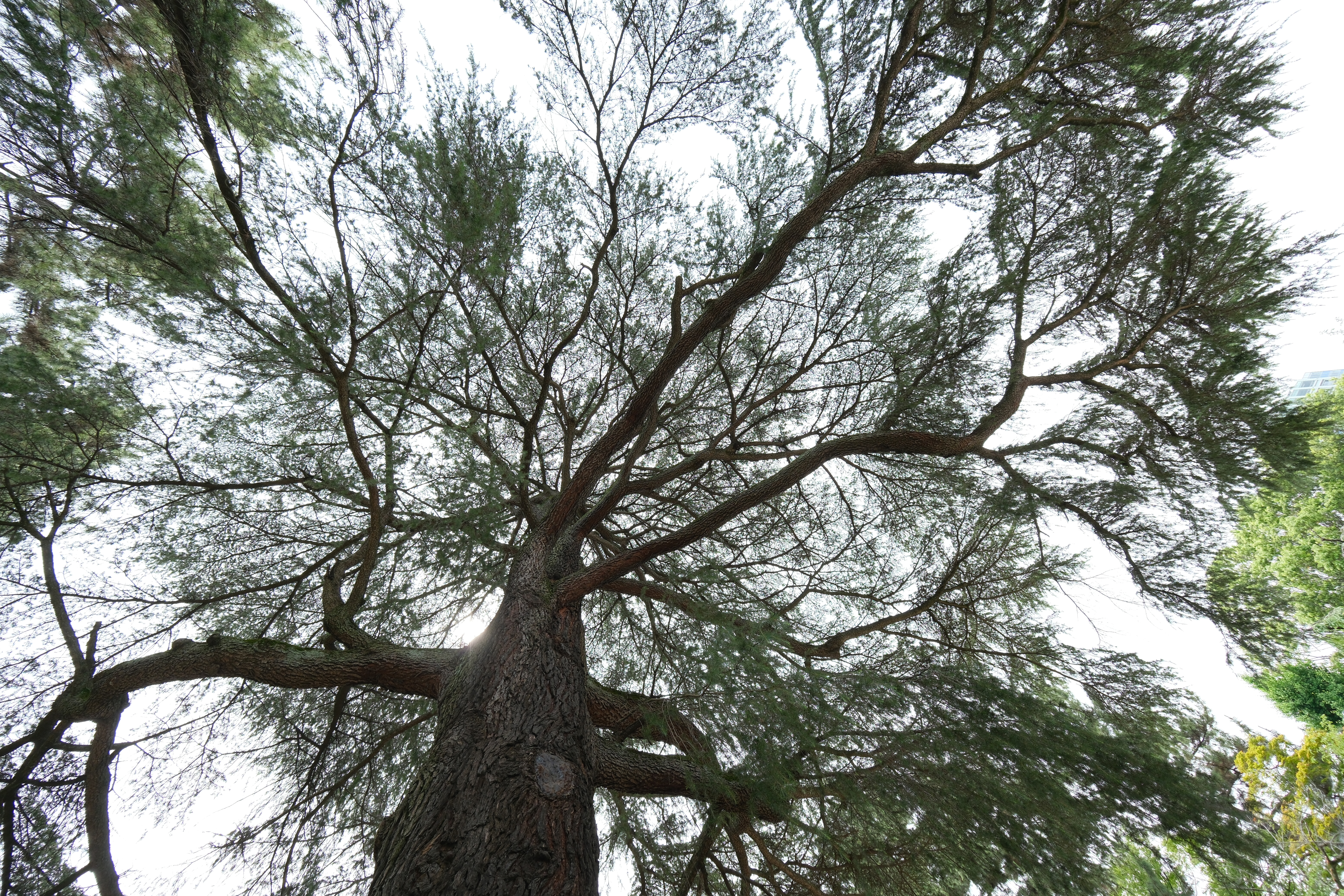 F3.5（左上）、F4.0（右上）、F5.6（左下）、F8.0（右下）