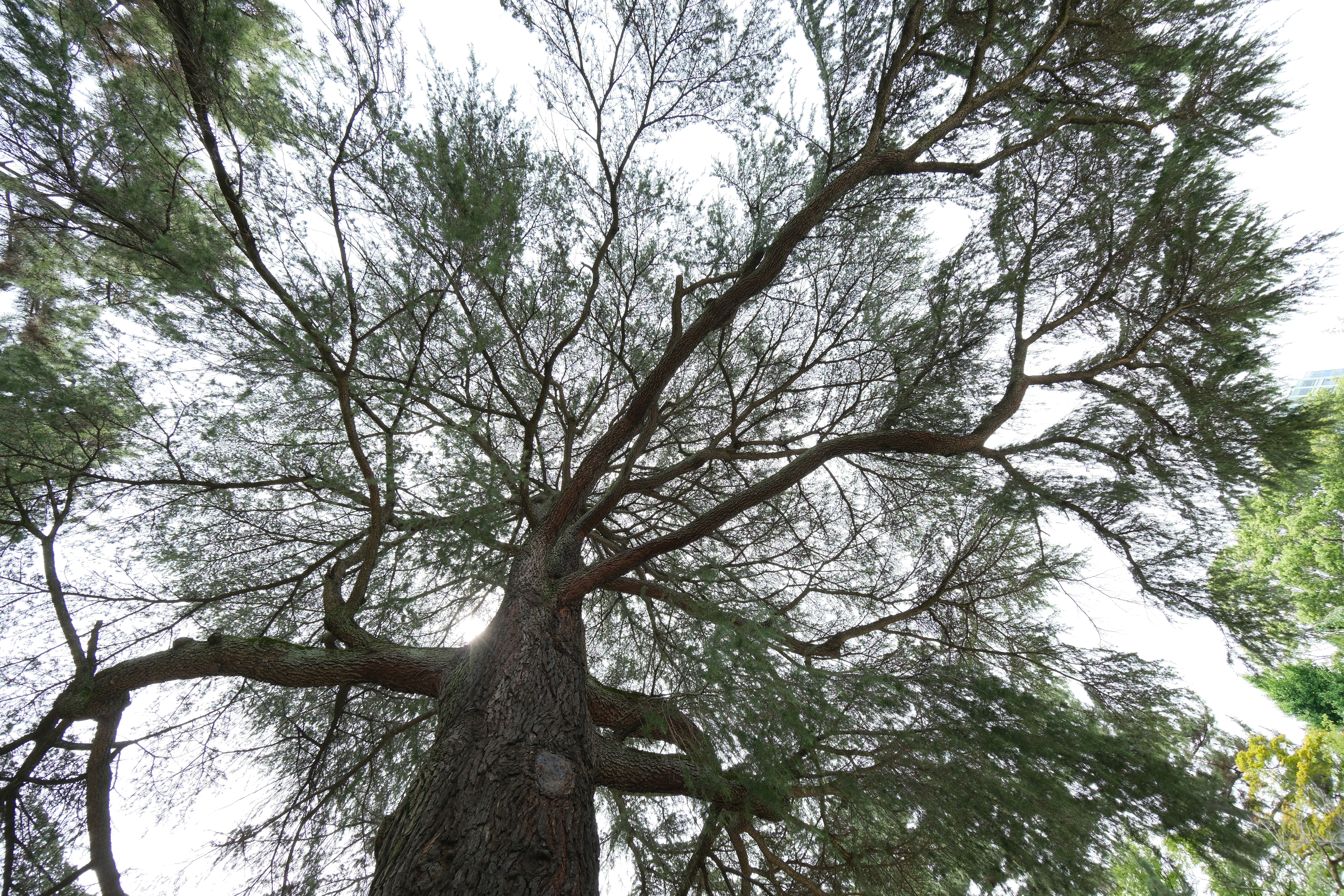 F3.5（左上）、F4.0（右上）、F5.6（左下）、F8.0（右下）