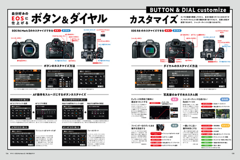 ユーザー必携のムック「キヤノン EOS R6 Mark II / R8 完全ガイド」が