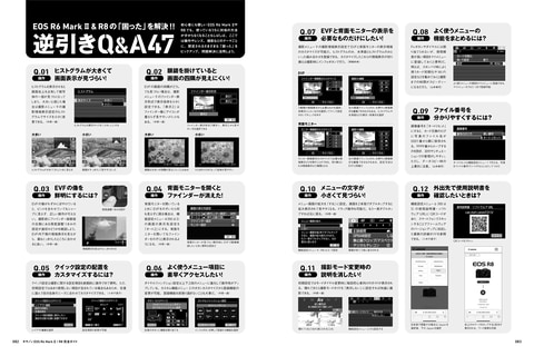 ユーザー必携のムック「キヤノン EOS R6 Mark II / R8 完全ガイド」が