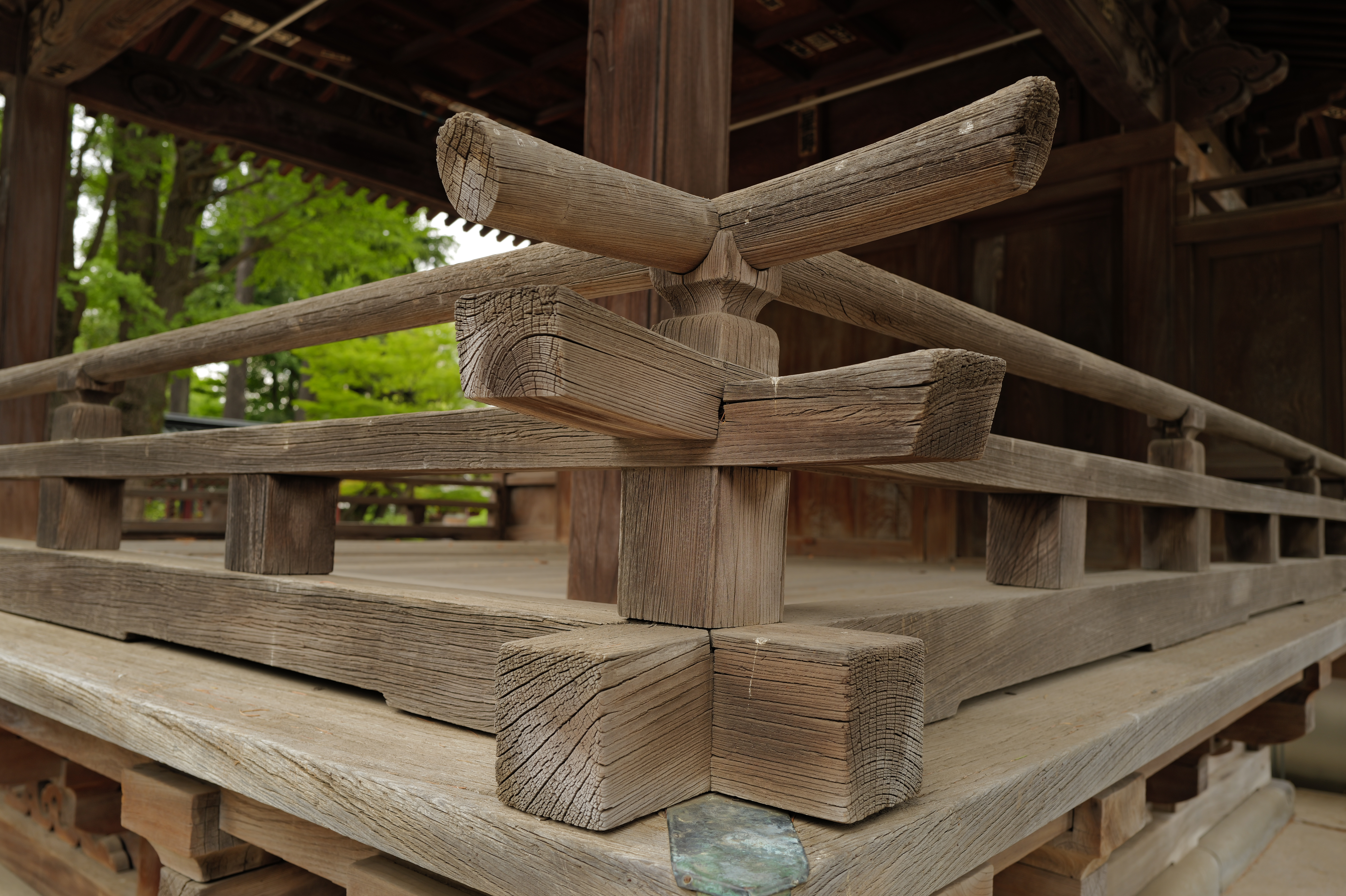 F5.6に絞って撮影。木の質感がリアルに再現されている。立体感のある仕上がりだ。ライカQ3の画質の高さがよくわかる<br>ライカQ3／SUMMILUX f1.7/28mm ASPH.／絞り優先AE（F5.6・1/30秒）／ISO 100