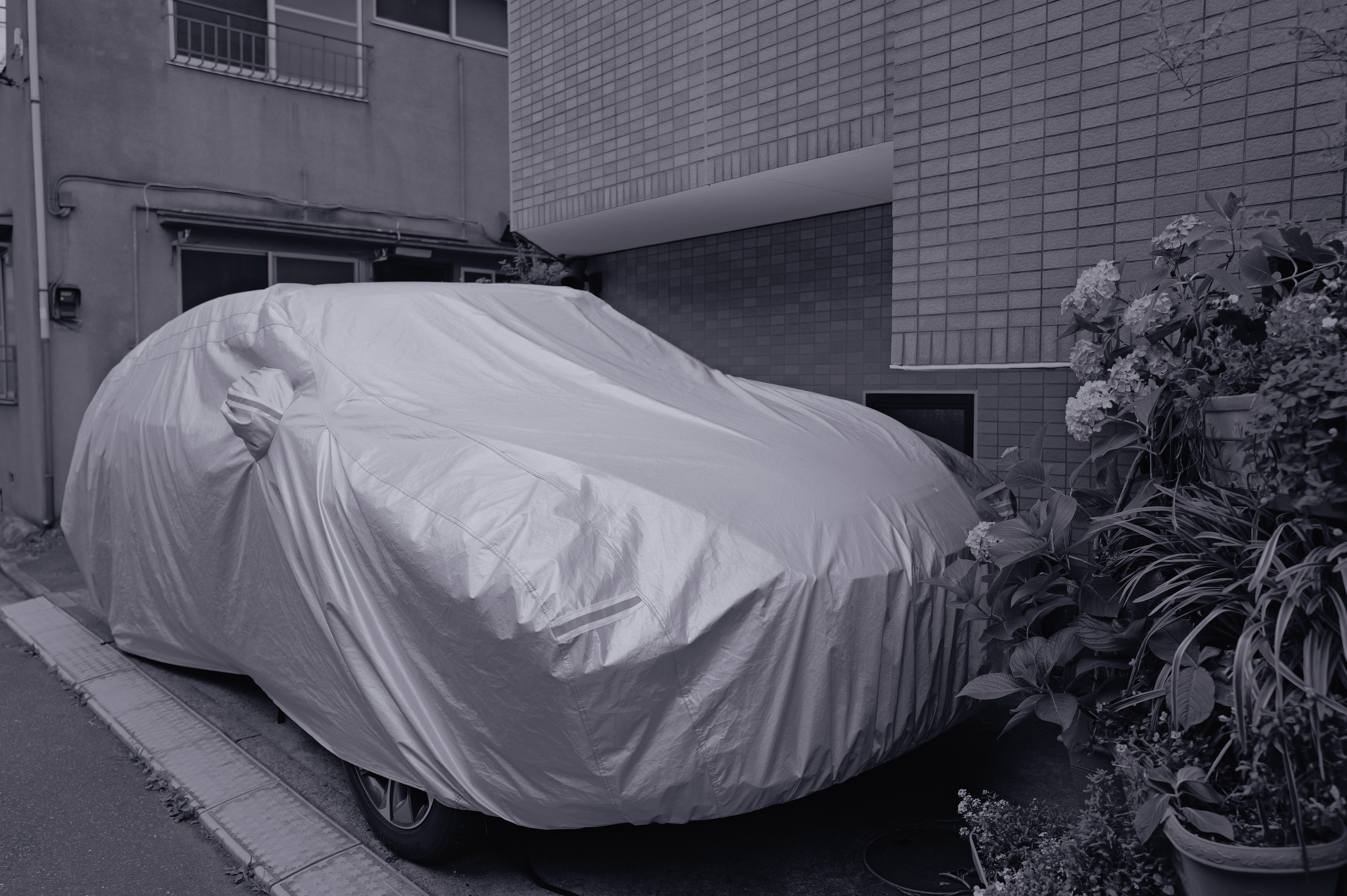 Leica LookのSelenium。紫色のモノクロが、独特の雰囲気を出している。もともとセレン調色は、長期保存用のプリントを作る際に行われていた。そうしたアート感覚溢れる表現に使いたい<br>ライカQ3／SUMMILUX f1.7/28mm ASPH.／絞り優先AE（F2.8・1/640秒）／ISO 100