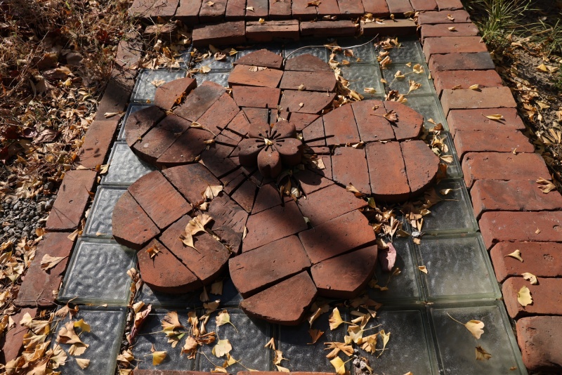 キヤノンEOS R5 / RF24-70mm F2.8 L IS USM / 絞り優先AE（F5.6・1/1250秒・-0.7EV）/ ISO 200