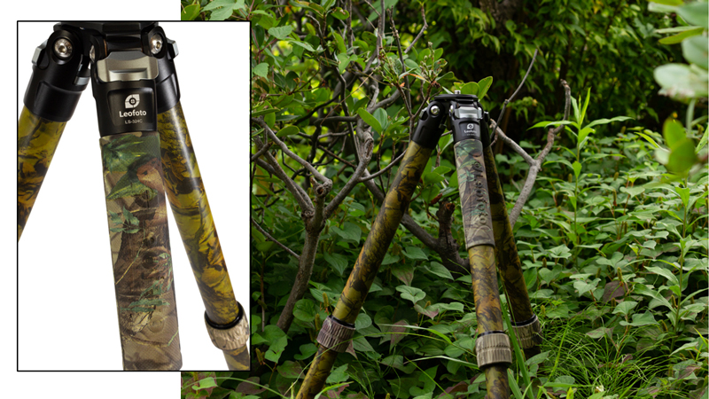 自然の中での使用例