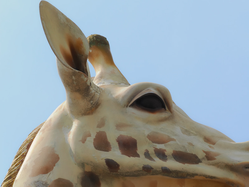 大きな麒麟の像を見つけましたが、180mm画角ではどうしようもなく、引きがなくて一部を切り取ることにしました。なんてことない被写体だけど、見た目よりも厄介な光線状態なんですが、階調の繋がりがいいですね。<br>OM-1／M.ZUIKO DIGITAL ED 90mm F3.5 Macro IS PRO／プログラムAE（F14・1/200秒）／ISO 200