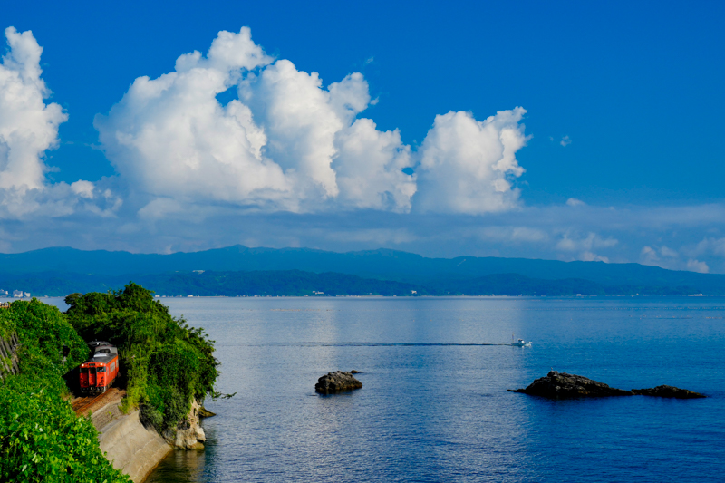 ソニーα1／FE 24-70mm F2.8 GM／絞り優先AE（70mm・F8・1/640秒）／ISO 400／WB:太陽光