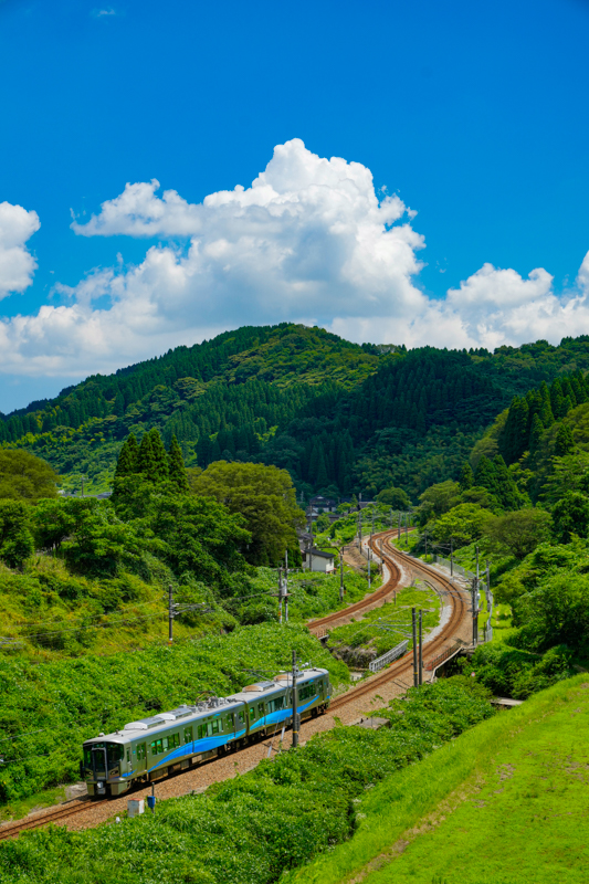 ソニーα1／FE 24-70mm F2.8 GM／絞り優先AE（68mm・F7.1・1/800秒）／ISO 400／WB:太陽光