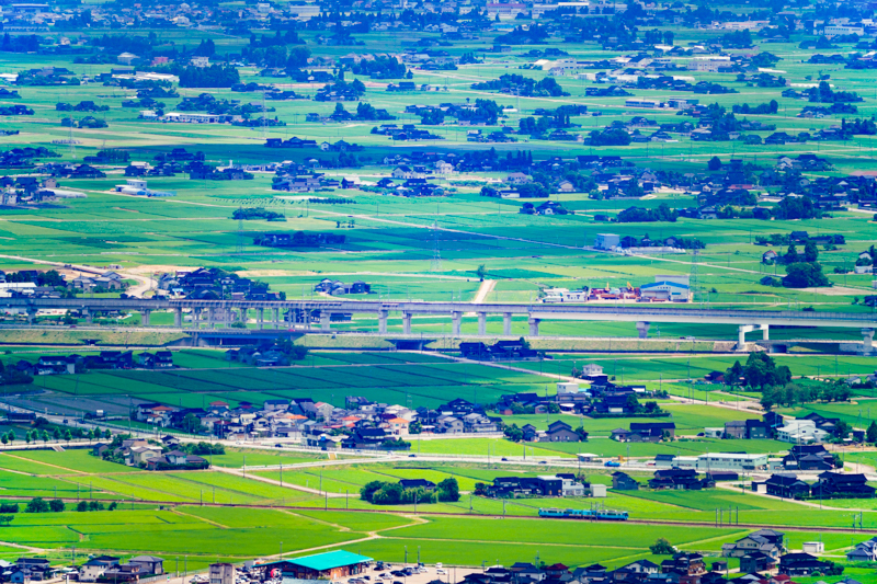 ソニーα1／FE 100-400mm F4.5-5.6 GM OSS／絞り優先AE（361mm・F5.6、1/1,000秒）／ISO 400／WB:太陽光