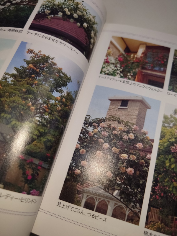 彼が送ってくれた書籍にはたくさんの薔薇が載っていた