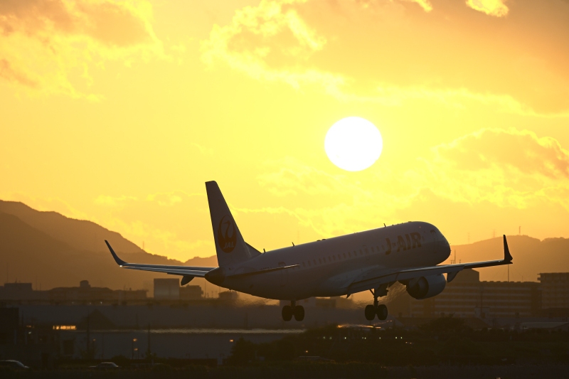 ※オリジナルのHEIFファイルは<a href="http://image.watch.impress.co.jp/dcw/1516/073/1862.HIF" class="n" target="_blank"><b>こちら</b></a><br>「極端な逆光シーンですが、HDRにより各部の明暗がしっかり記録されています」（土谷氏）<br>ニコン Z 8／NIKKOR Z 400mm f/2.8 TC VR S／絞り優先AE（F4.5・1/3,200秒）／ISO 400