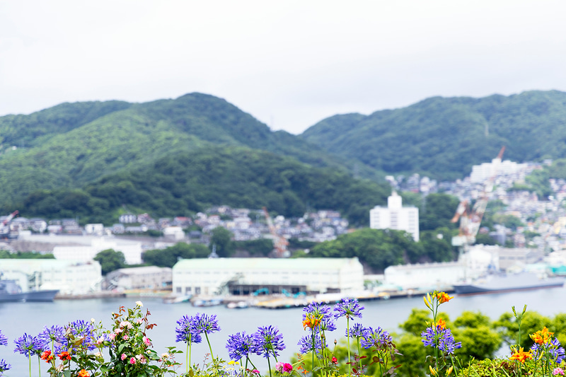 高台から海越しに見える長崎の街を背景にした。街並みをぼかすため、望遠端にして開放F値に設定。一瞬の晴れ間が花の鮮やかさを際立たせてくれた<br><span class="fnt-85">EOS R8／RF24-105mm F4 L IS USM／105mm／マニュアル露出（F4、1/800秒）／ISO 100／WB：オート</span>