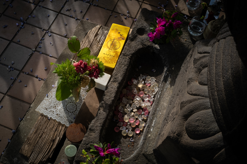 斜光線の条件だけど、フードを装着しますと余分な光をカットしてくれます。問題はない。四隅の微妙な光量の落ち方が好みです<br>ライカM10-P／Elmar 3.5cm F3.5／絞り優先AE（F6.3・1/180秒）／ISO 400