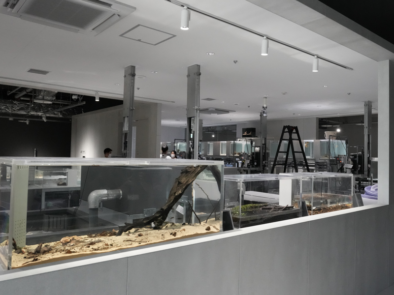 健康管理用の予備水槽や餌の調理も見せることで、生物を身近に感じさせる