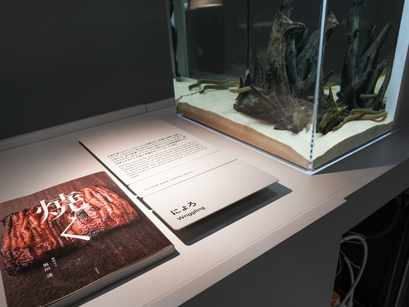 図書館のように水槽と本を並べたエリア。「にょろ」「もさもさ」など質感で分類し、横に関連書籍を置いている