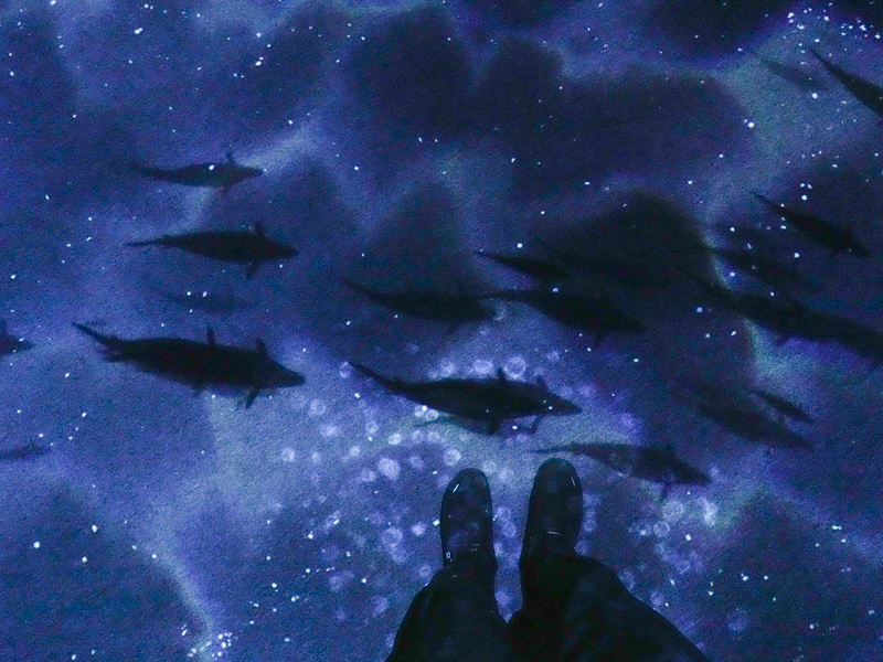 6階「ブルールーム」で床に投影された映像（と、筆者の足）。人の存在を認識して、魚が近寄ってくる