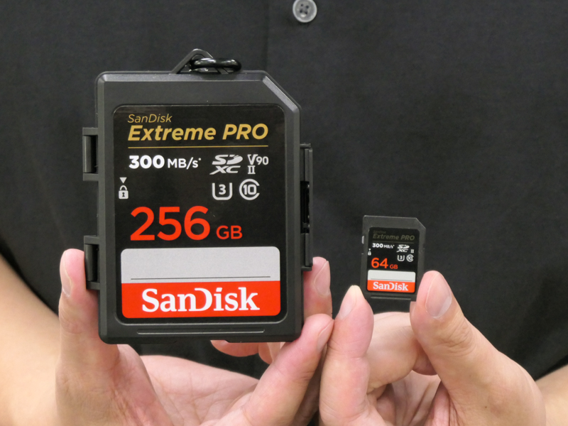 左が「SanDisk Memory Card Case」。右はサイズ比較のSDカード