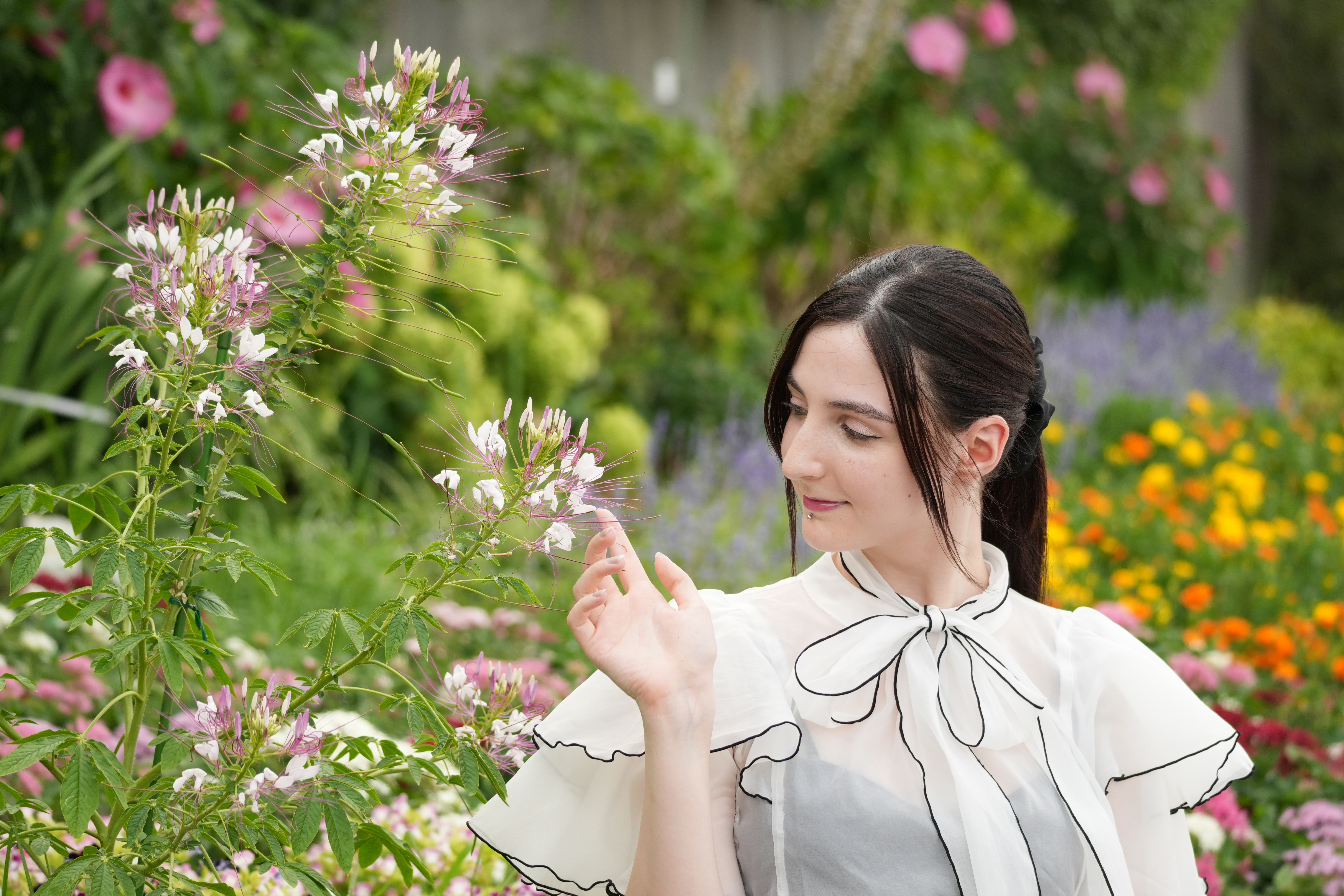 α6700／E 70-350mm F4.5-6.3 G OSS／123mm（184mm相当）／絞り優先AE（1/250秒・F5.6・+0.7EV）／ISO 400／WB：オート