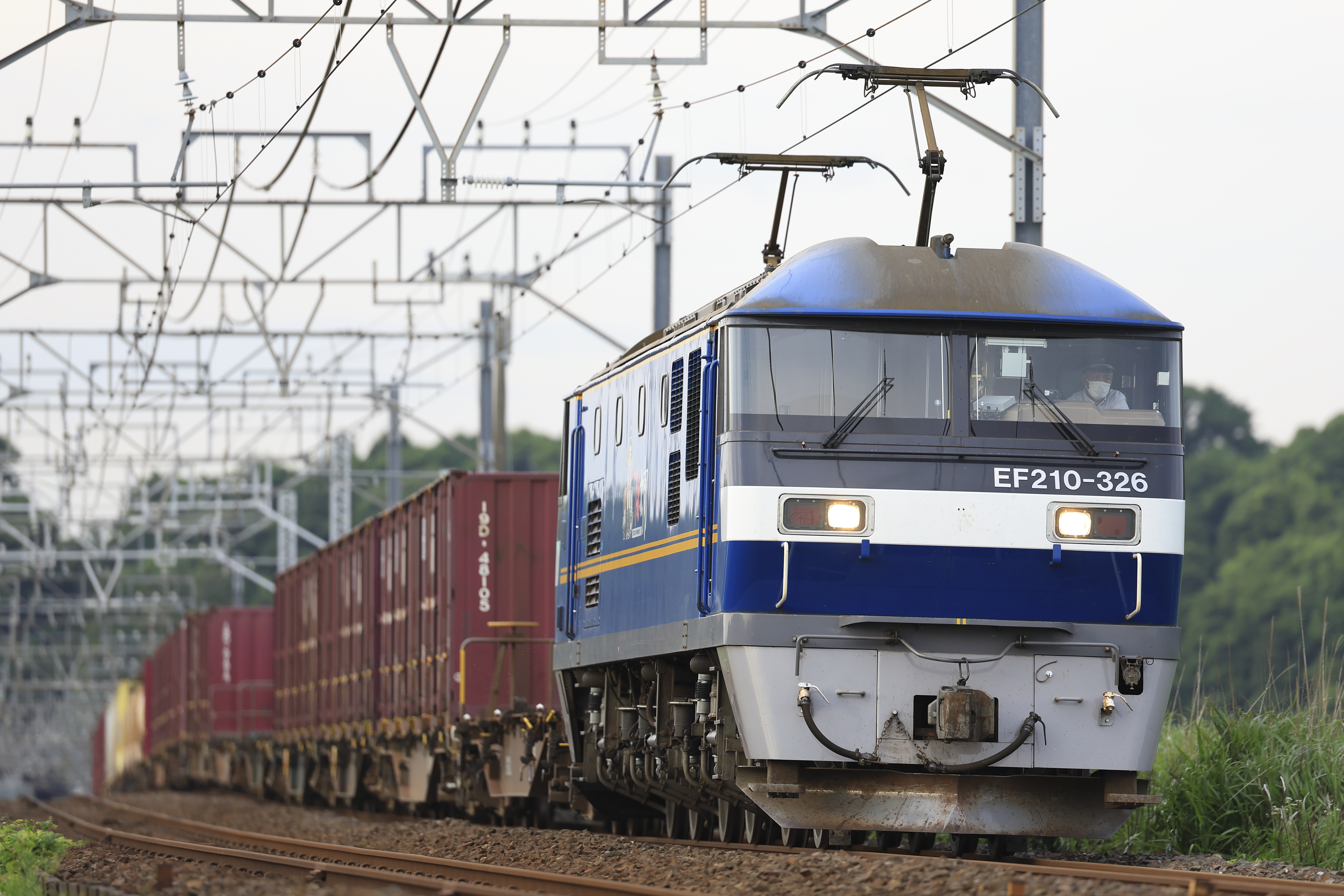 EOS R3／RF100-300mm F2.8 L IS USM／300mm／マニュアル露出（1/320秒、F2.8）／ISO 320