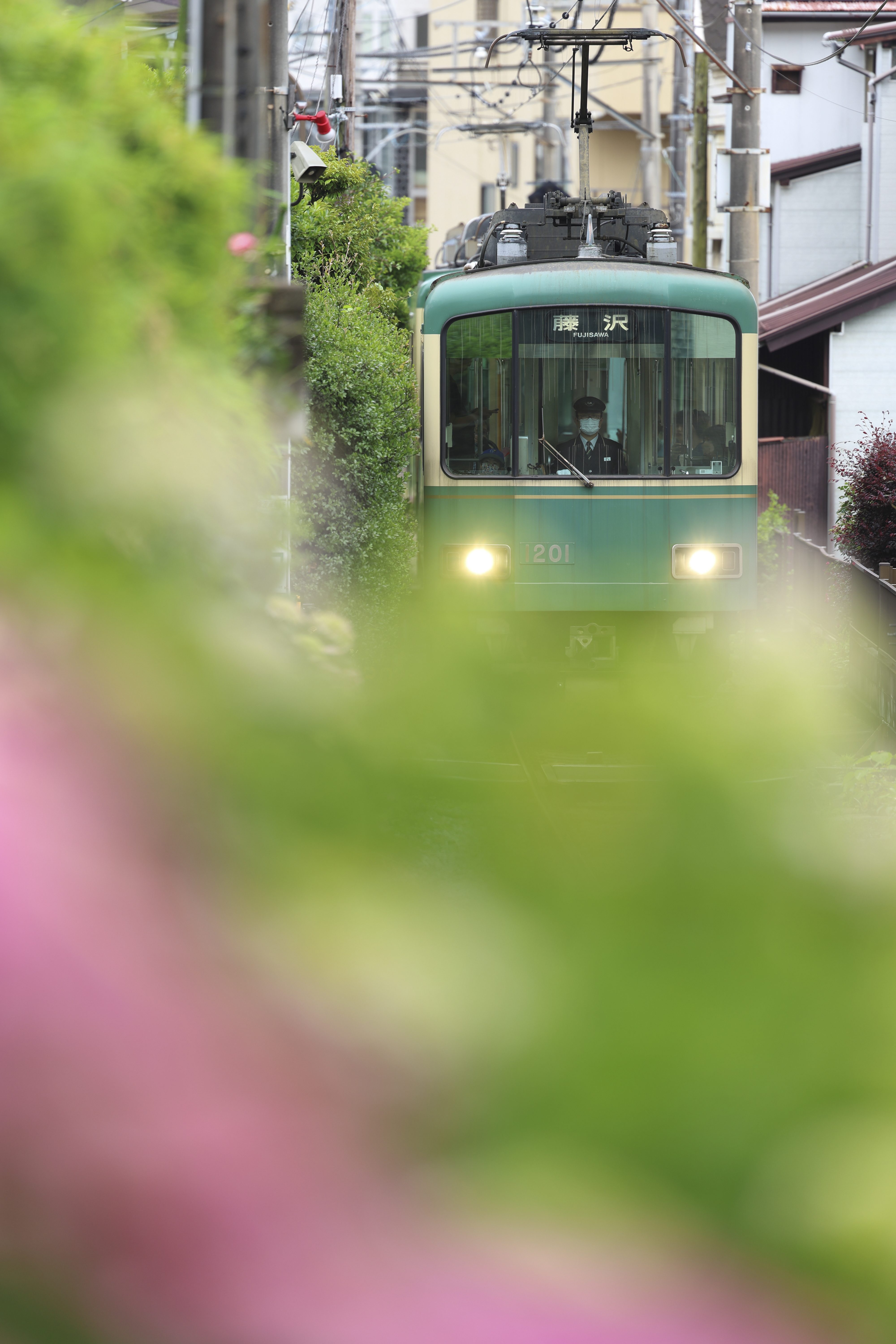 EOS R3／RF100-300mm F2.8 L IS USM／300mm／マニュアル露出（1/200秒、F2.8）／ISO 100