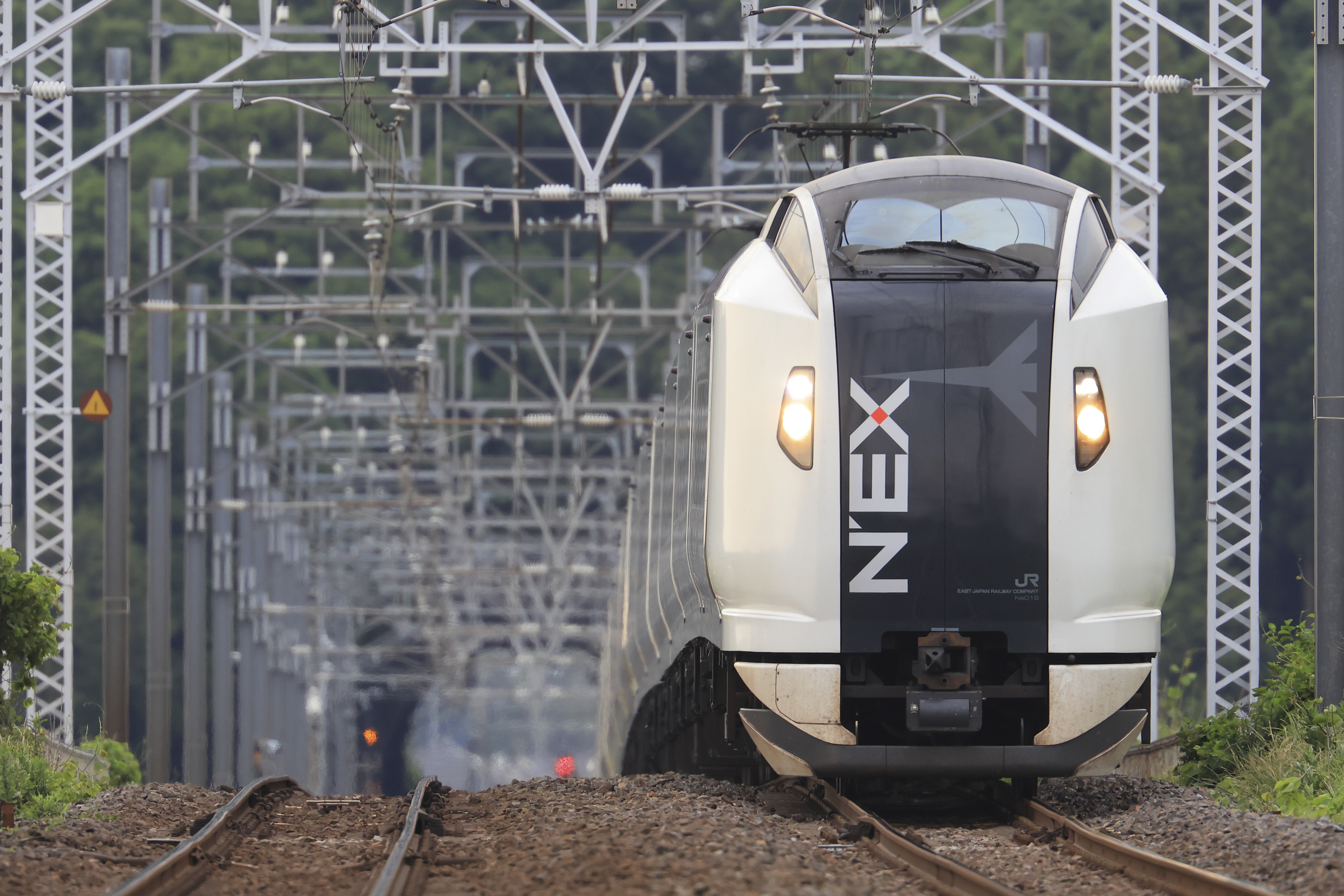 EOS R5／RF100-300mm F2.8 L IS USM + EXTENDER RF2×／960mm相当（1.6倍クロップ）／マニュアル露出（1/250秒、F5.6）／ISO 800