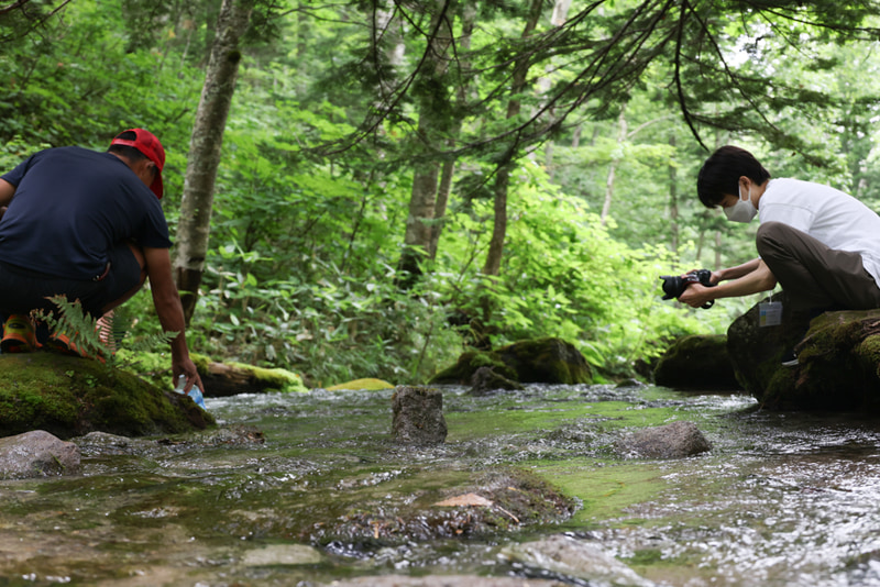 美瑛町での撮影