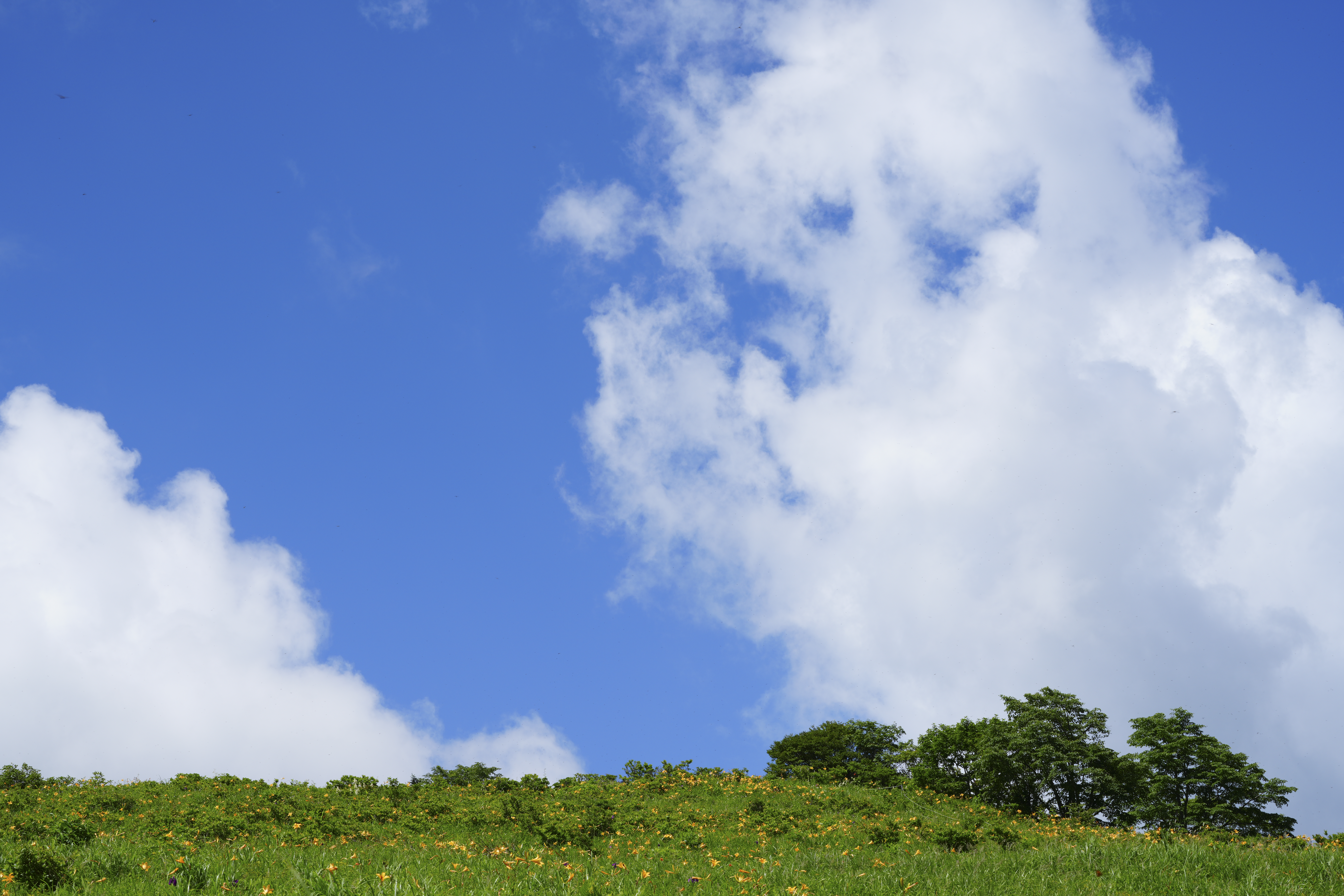 α7R V／FE 70-200mm F4 Macro G OSS II／70mm／絞り優先AE（1秒、F18、-0.3EV）／ISO 100